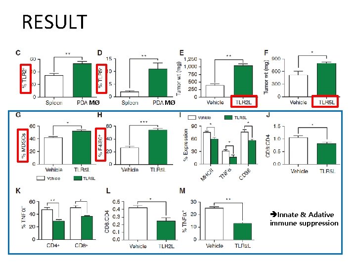 RESULT MØ MØ Innate & Adative immune suppression 