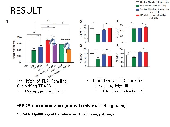 RESULT • Inhibition of TLR signaling blocking TRAF 6 – PDA-promoting effects↓ • Inhibition