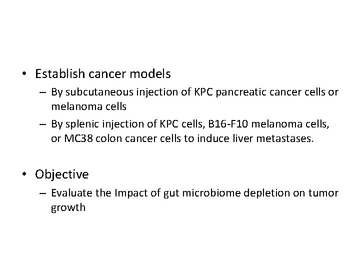  • Establish cancer models – By subcutaneous injection of KPC pancreatic cancer cells