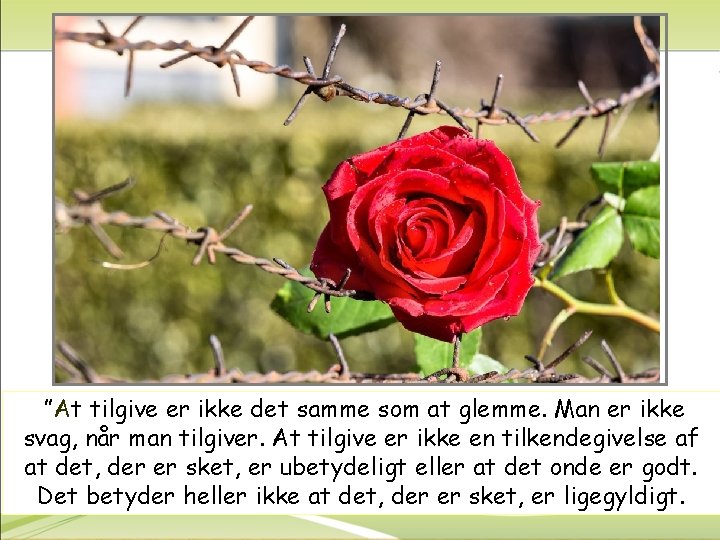 ”At tilgive er ikke det samme som at glemme. Man er ikke svag, når