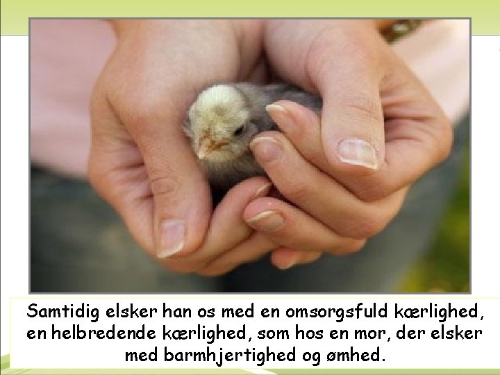 Samtidig elsker han os med en omsorgsfuld kærlighed, en helbredende kærlighed, som hos en