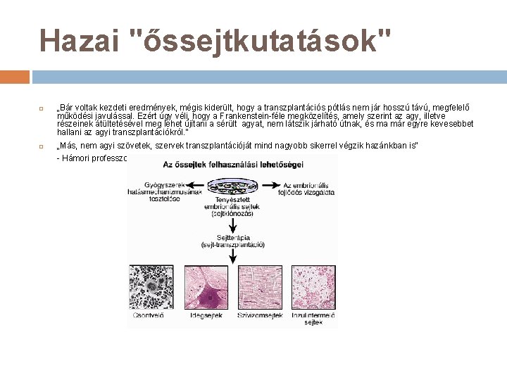 Hazai "őssejtkutatások" „Bár voltak kezdeti eredmények, mégis kiderült, hogy a transzplantációs pótlás nem jár