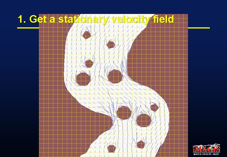 1. Get a stationary velocity field i. MAGIS-GRAVIR / IMAG 