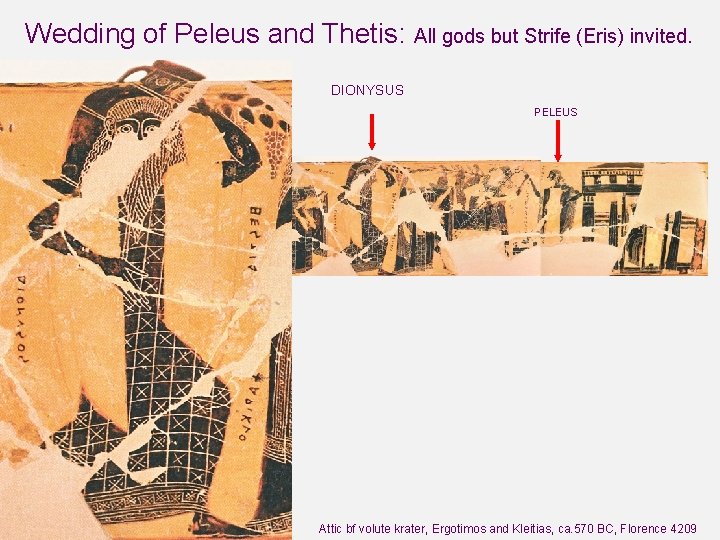 Wedding of Peleus and Thetis: All gods but Strife (Eris) invited. DIONYSUS PELEUS ‘François