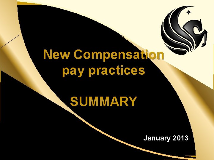 New Compensation pay practices SUMMARY January 2013 