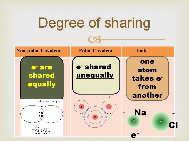 Degree of sharing Non-polar Covalent e- are shared equally Polar Covalent e- shared unequally