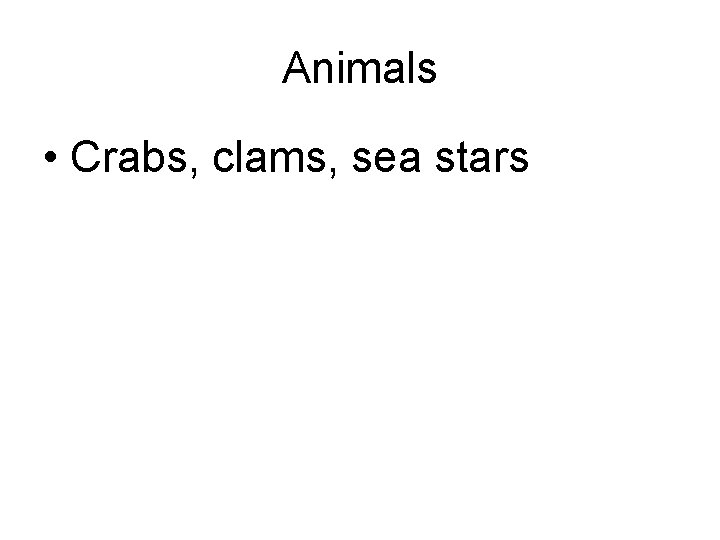 Animals • Crabs, clams, sea stars 