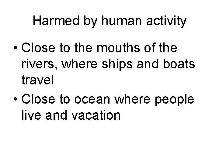 Harmed by human activity • Close to the mouths of the rivers, where ships