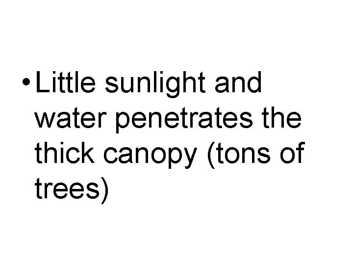  • Little sunlight and water penetrates the thick canopy (tons of trees) 