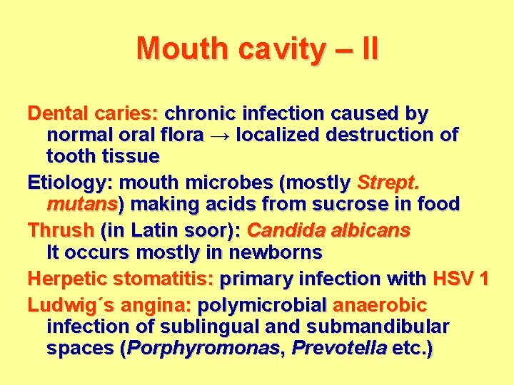 Mouth cavity – II Dental caries: chronic infection caused by normal oral flora →
