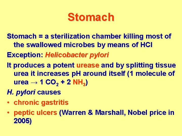 Stomach = a sterilization chamber killing most of the swallowed microbes by means of