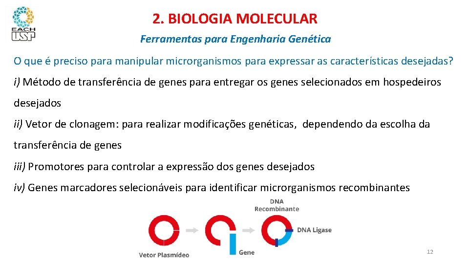 2. BIOLOGIA MOLECULAR Ferramentas para Engenharia Genética O que é preciso para manipular microrganismos