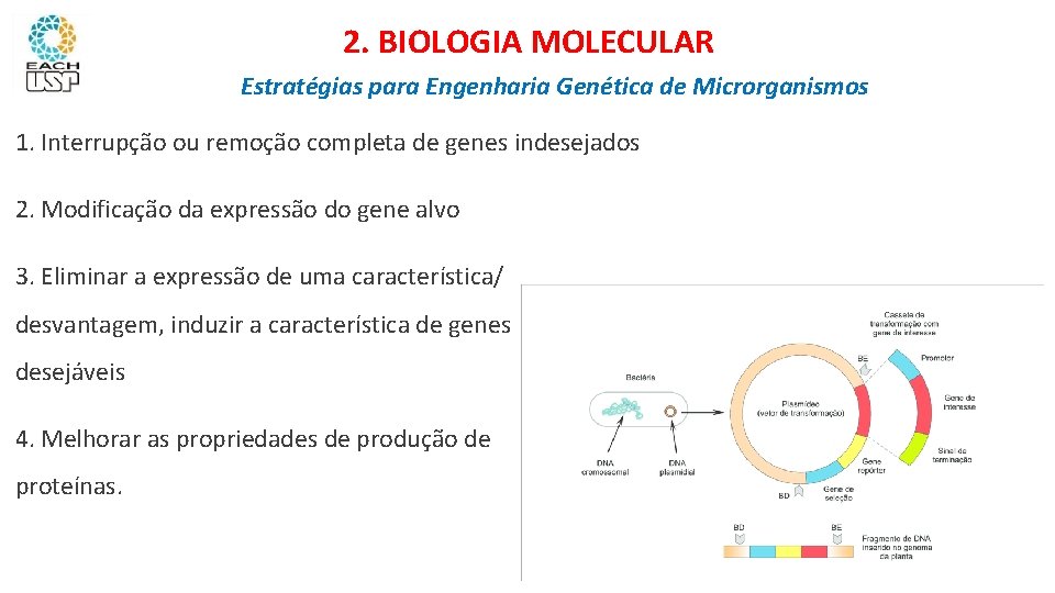 2. BIOLOGIA MOLECULAR Estratégias para Engenharia Genética de Microrganismos 1. Interrupção ou remoção completa