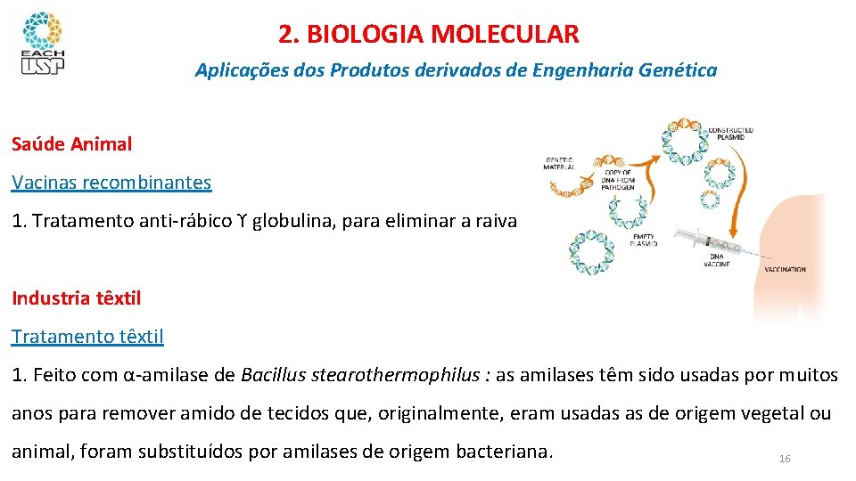 2. BIOLOGIA MOLECULAR Aplicações dos Produtos derivados de Engenharia Genética Saúde Animal Vacinas recombinantes
