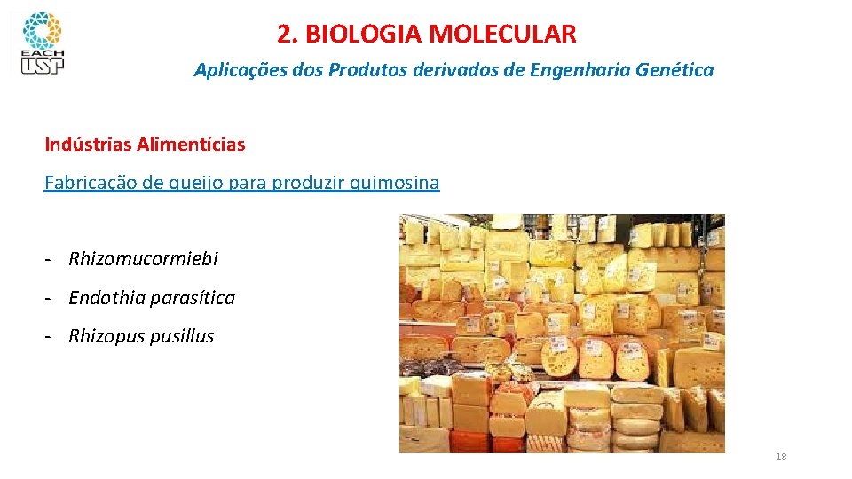 2. BIOLOGIA MOLECULAR Aplicações dos Produtos derivados de Engenharia Genética Indústrias Alimentícias Fabricação de