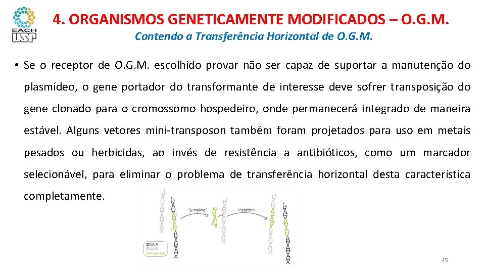 4. ORGANISMOS GENETICAMENTE MODIFICADOS – O. G. M. Contendo a Transferência Horizontal de O.