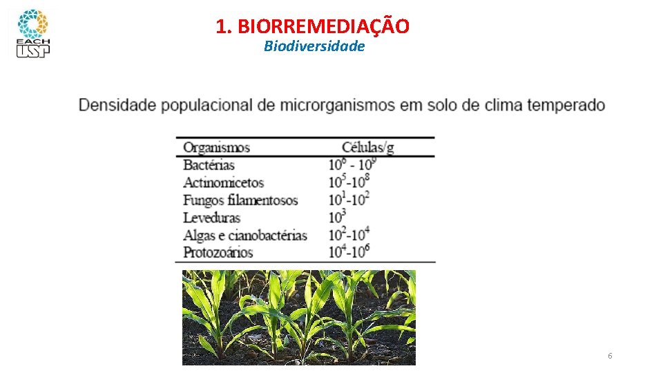 1. BIORREMEDIAÇÃO Biodiversidade 6 