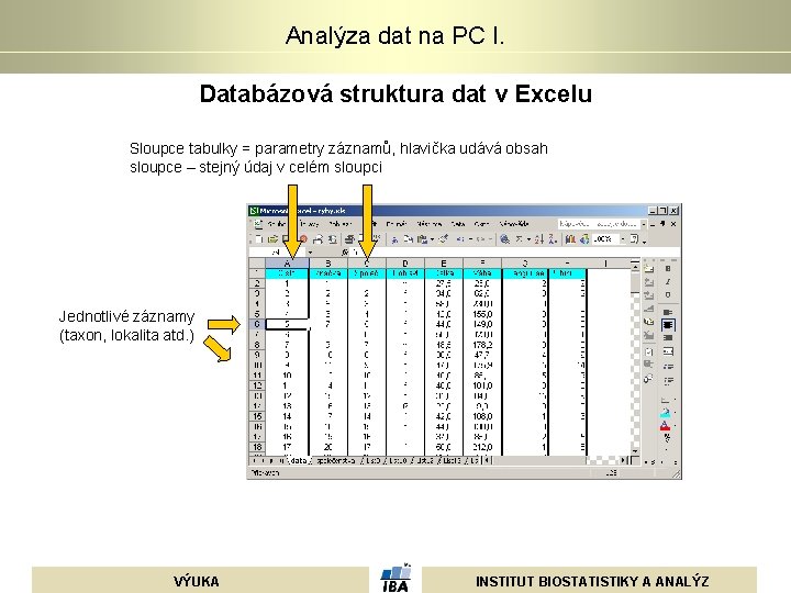 Analýza dat na PC I. Databázová struktura dat v Excelu Sloupce tabulky = parametry Analýza dat na PC I. Databázová struktura dat v Excelu Sloupce tabulky = parametry