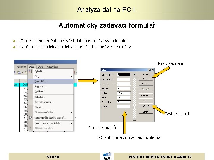 Analýza dat na PC I. Automatický zadávací formulář u u Slouží k usnadnění zadávání Analýza dat na PC I. Automatický zadávací formulář u u Slouží k usnadnění zadávání