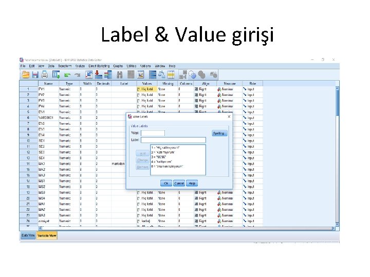 Label & Value girişi 