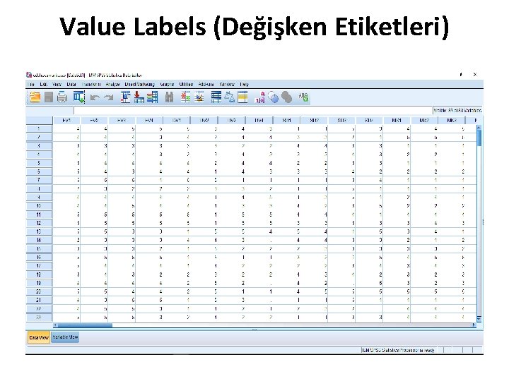 Value Labels (Değişken Etiketleri) 