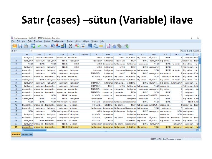 Satır (cases) –sütun (Variable) ilave 