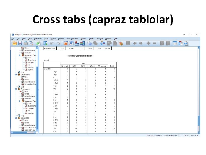 Cross tabs (capraz tablolar) 