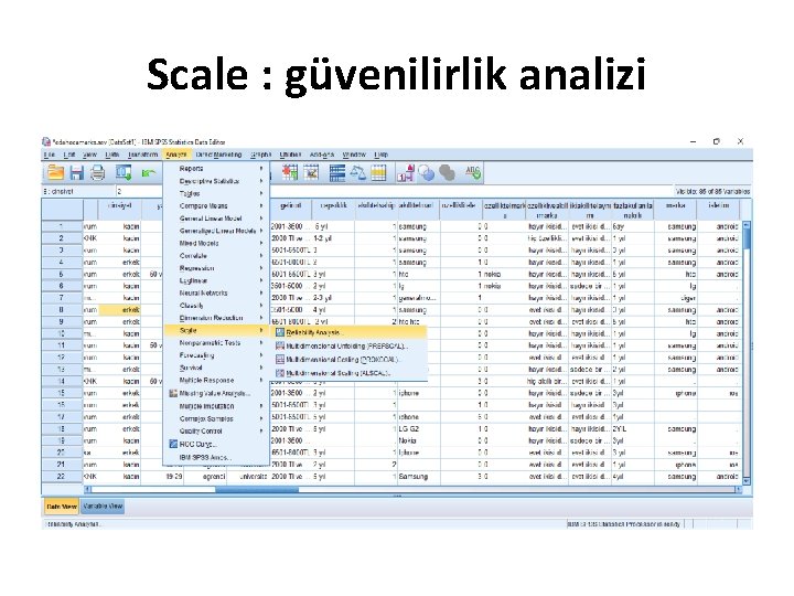 Scale : güvenilirlik analizi 