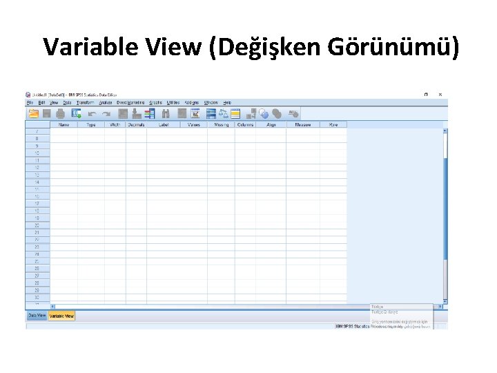 Variable View (Değişken Görünümü) 