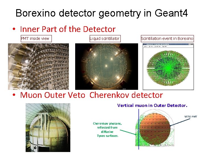 Borexino detector geometry in Geant 4 • Inner Part of the Detector PMT inside