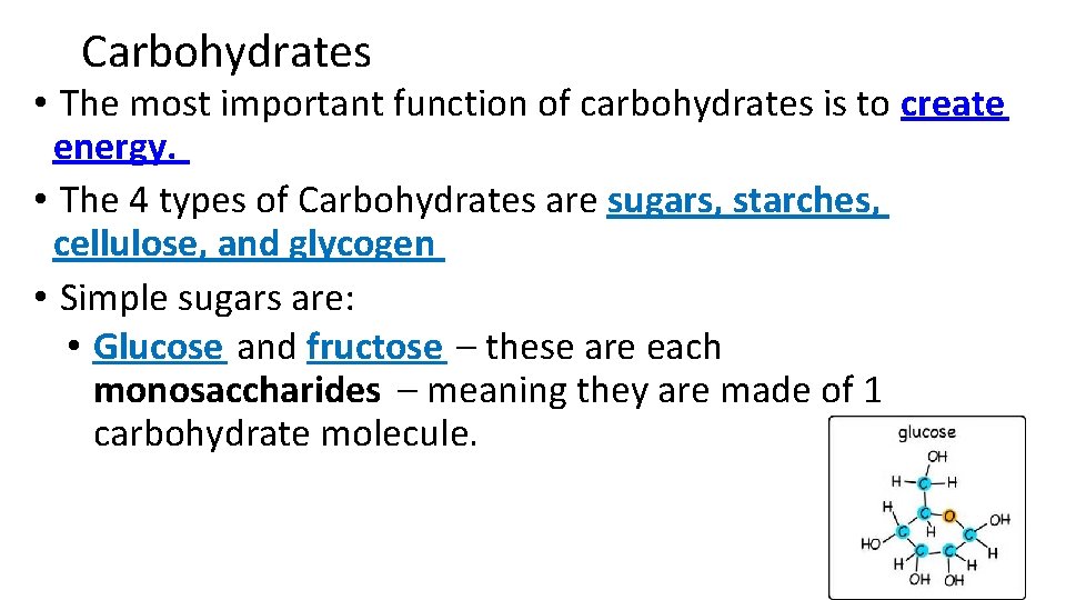 Carbohydrates • The most important function of carbohydrates is to create energy. • The