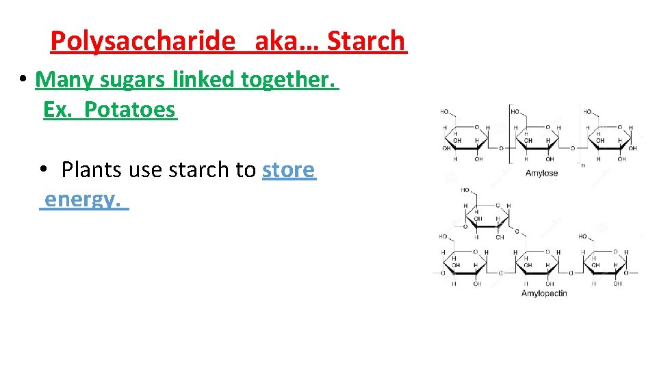 Polysaccharide aka… Starch • Many sugars linked together. Ex. Potatoes • Plants use starch