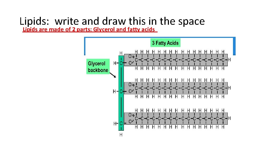 Lipids: write and draw this in the space Lipids are made of 2 parts: