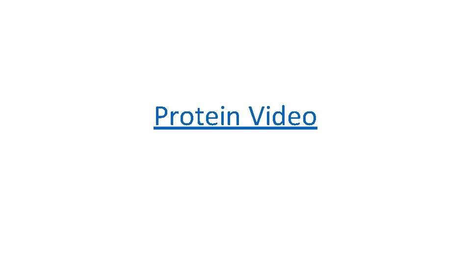 Protein Video 