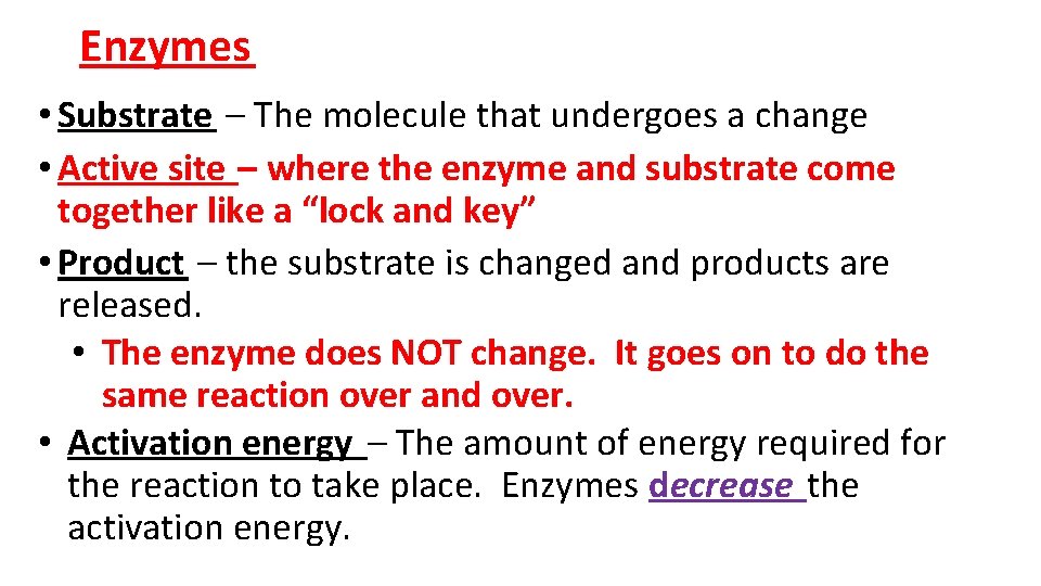 Enzymes • Substrate – The molecule that undergoes a change • Active site –