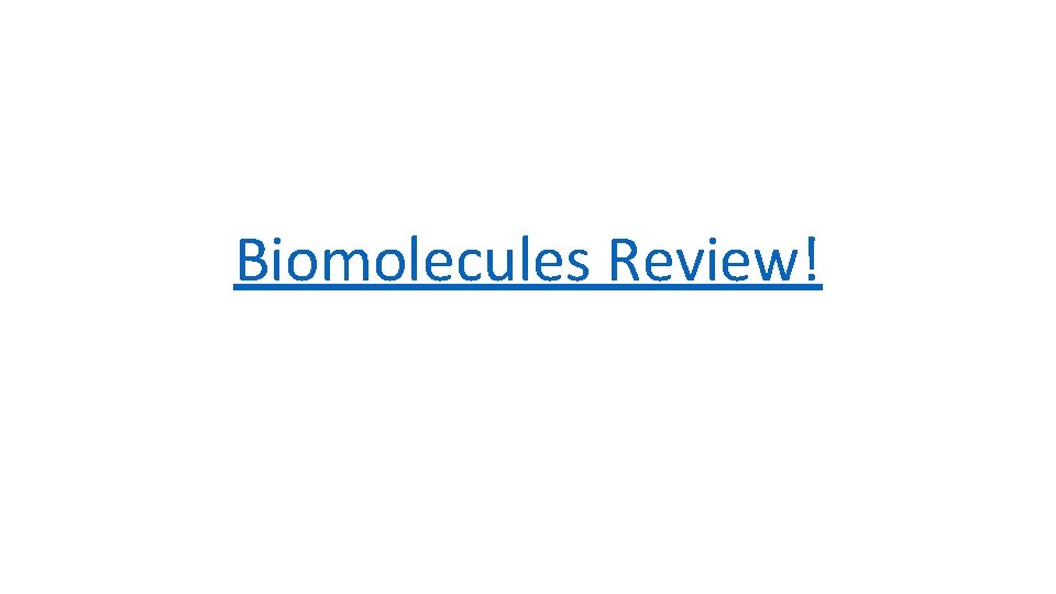 Biomolecules Review! 