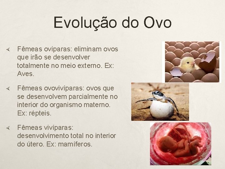 Evolução do Ovo Fêmeas ovíparas: eliminam ovos que irão se desenvolver totalmente no meio