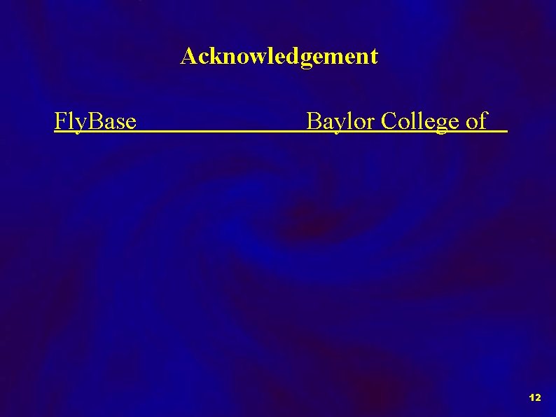 Acknowledgement Fly. Base Baylor College of 12 