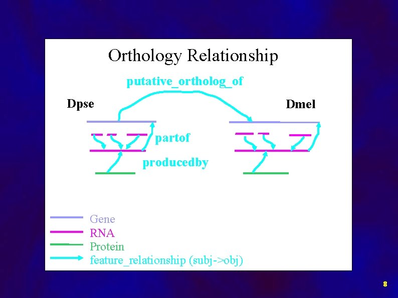 Orthology Relationship putative_ortholog_of Dpse Dmel partof producedby Gene RNA Protein feature_relationship (subj->obj) 8 