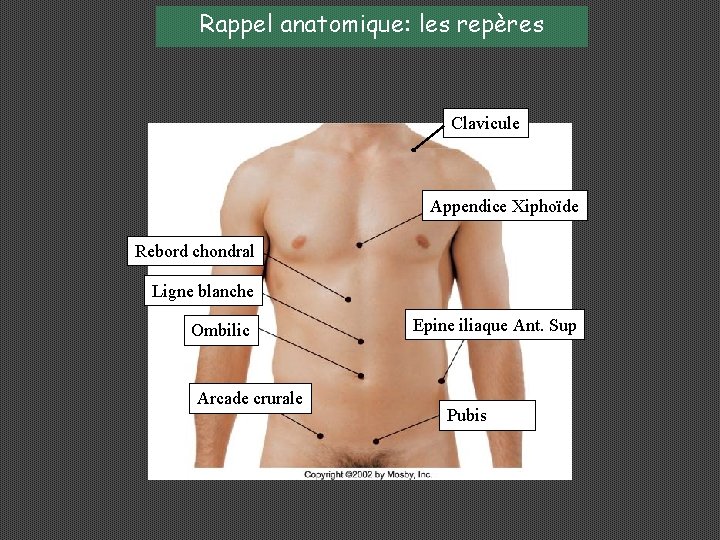 Rappel anatomique: les repères Clavicule Appendice Xiphoïde Rebord chondral Ligne blanche Ombilic Arcade crurale