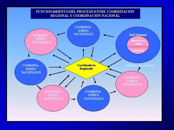 FUNCIONAMIENTO DEL PROCESO ENTRE COORDINACIÓN REGIONAL Y COORDINACIÓN NACIONAL COORDINADORES NACIONALES Red Nacional Punto