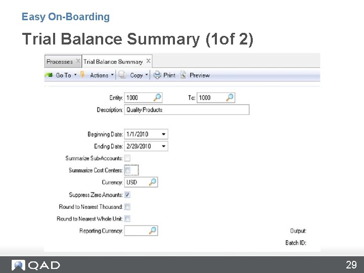 Easy On-Boarding Trial Balance Summary (1 of 2) 29 