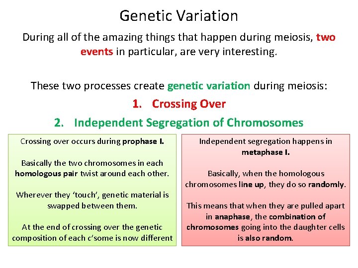 Genetic Variation During all of the amazing things that happen during meiosis, two events