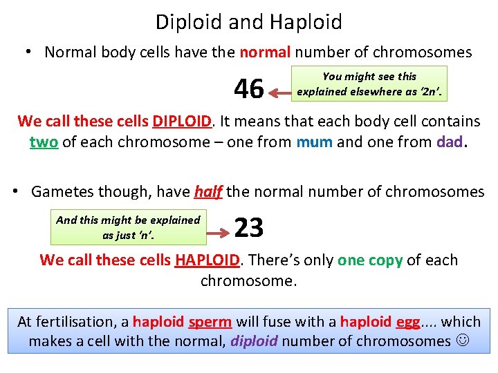 Diploid and Haploid • Normal body cells have the normal number of chromosomes 46