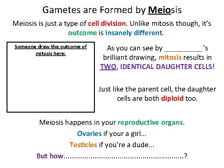 Gametes are Formed by Meiosis is just a type of cell division. Unlike mitosis