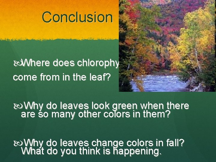 Conclusion Where does chlorophyll come from in the leaf? Why do leaves look green