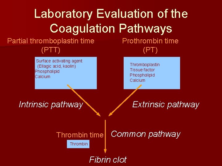 Laboratory Evaluation of the Coagulation Pathways Partial thromboplastin time (PTT) Prothrombin time (PT) Surface