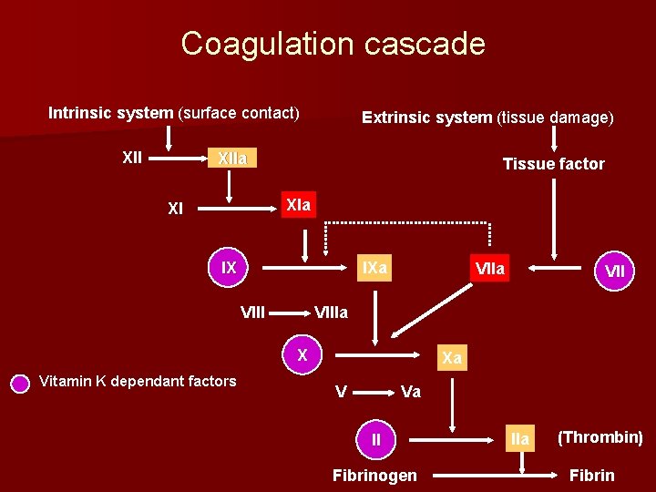 Coagulation cascade Intrinsic system (surface contact) XII Extrinsic system (tissue damage) XIIa Tissue factor