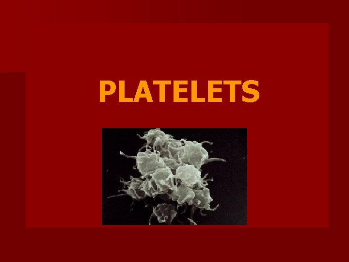 PLATELETS 