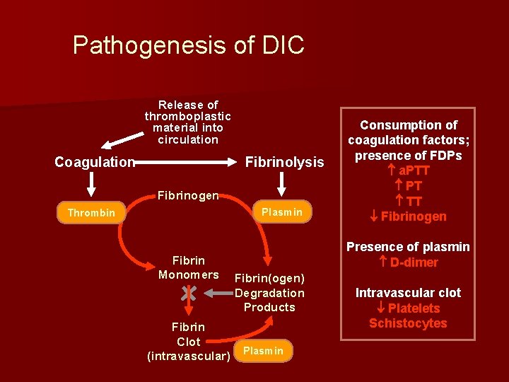 Pathogenesis of DIC Release of thromboplastic material into circulation Coagulation Fibrinolysis Fibrinogen Plasmin Thrombin